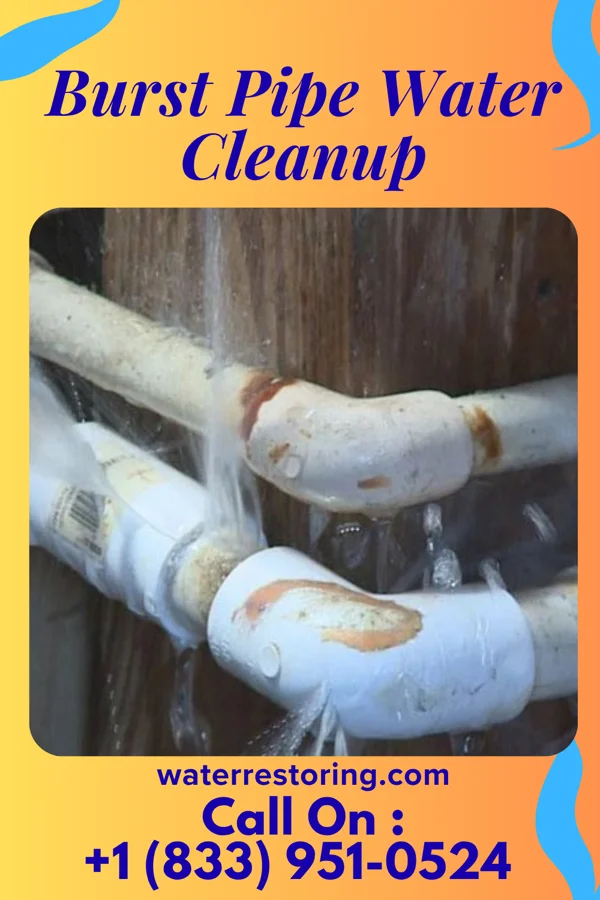 Burst Pipe Water Cleanup in Cresskill, NJ