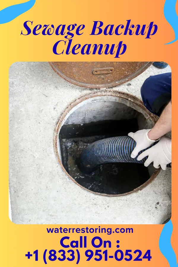 Sewage Backup Cleanup in Cresskill, NJ
