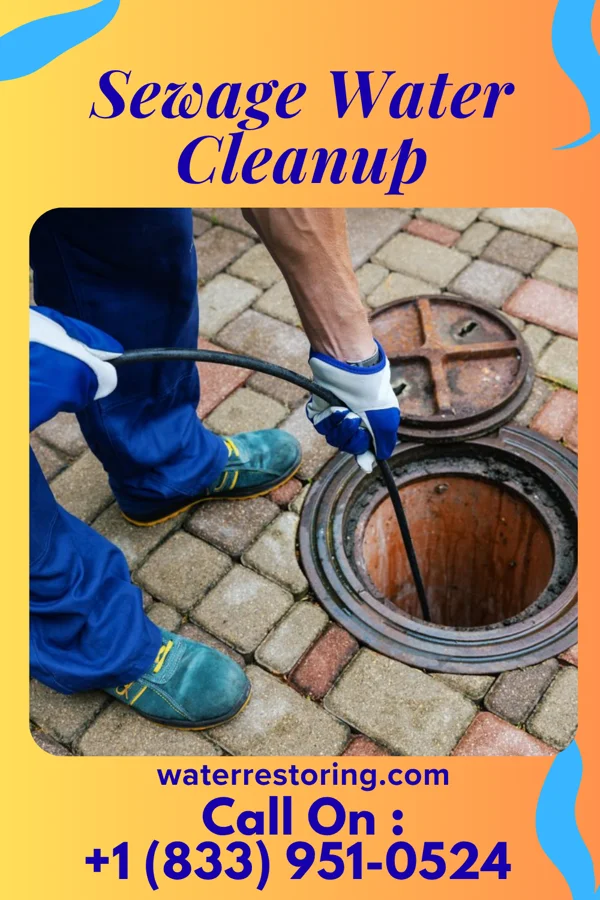 Sewage Water Cleanup in Cresskill, NJ